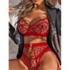 Red Transparent Lace Bra and Panty Garter Set