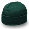 Beanie Hat - Green